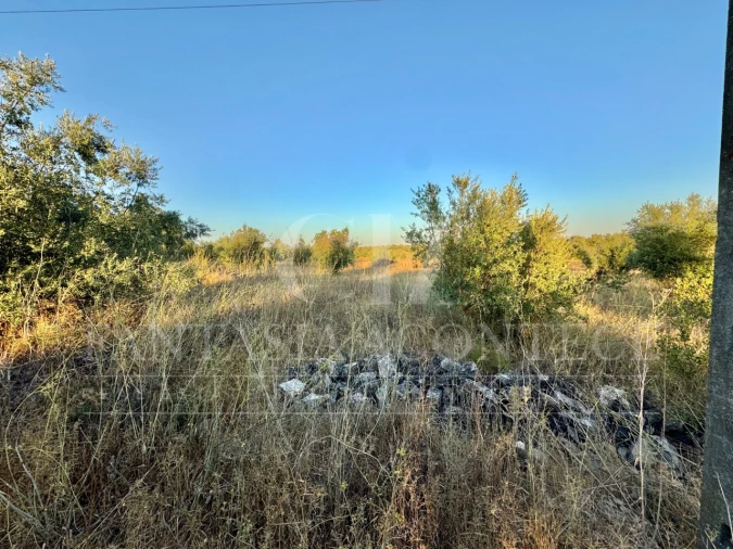 Terreno Misto para Venda em Casa Branca Foto 13