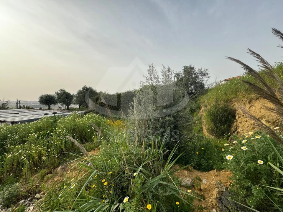 Terreno para Venda em Santo António dos Cavaleiros e Frielas Foto 3