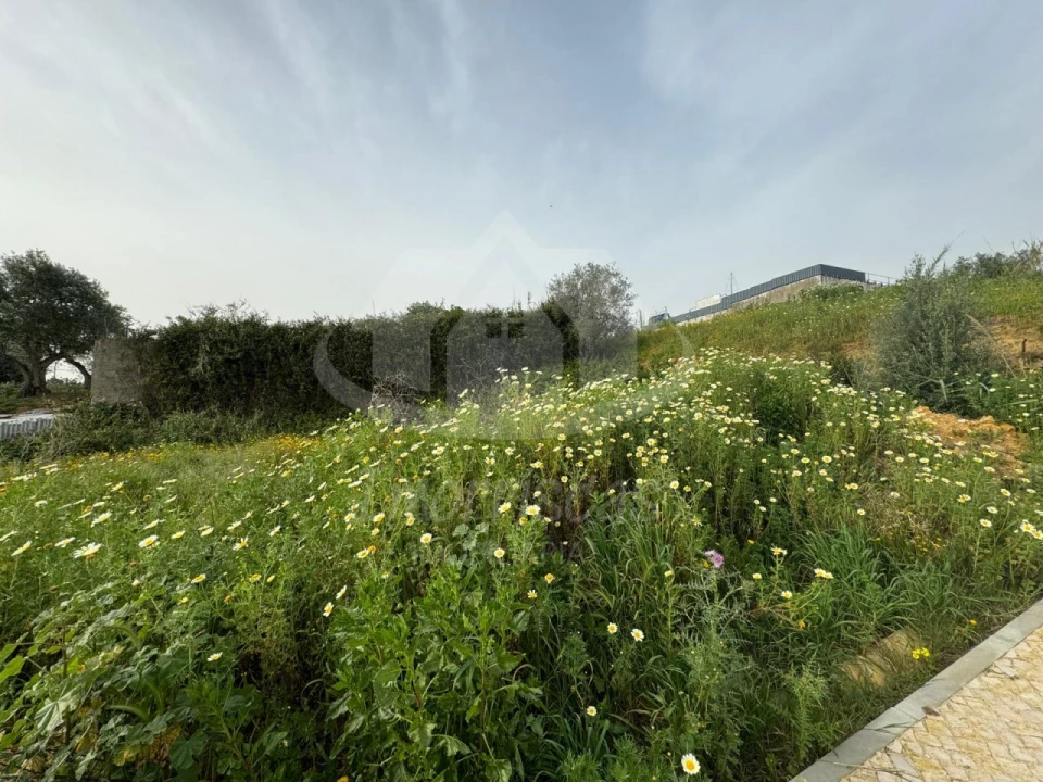 Terreno para Venda em Santo António dos Cavaleiros e Frielas Foto 4