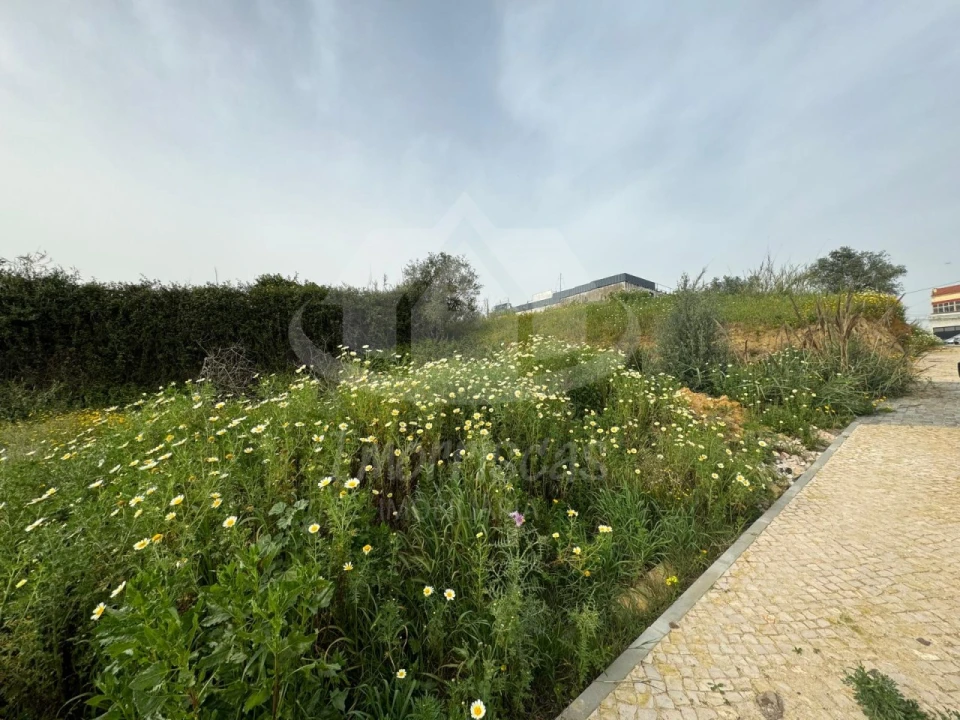Terreno para Venda em Santo António dos Cavaleiros e Frielas Foto 6