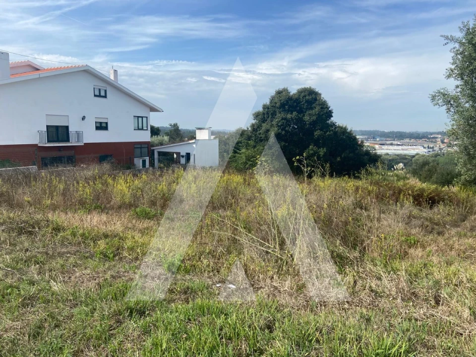 Terreno para Venda em Oliveira do Bairro Foto 4