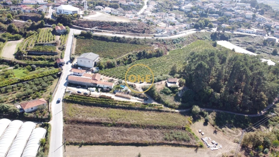 Terreno para Venda em Vilarinho Foto 7