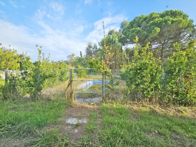 Prédio para Venda em Arvore Foto 41