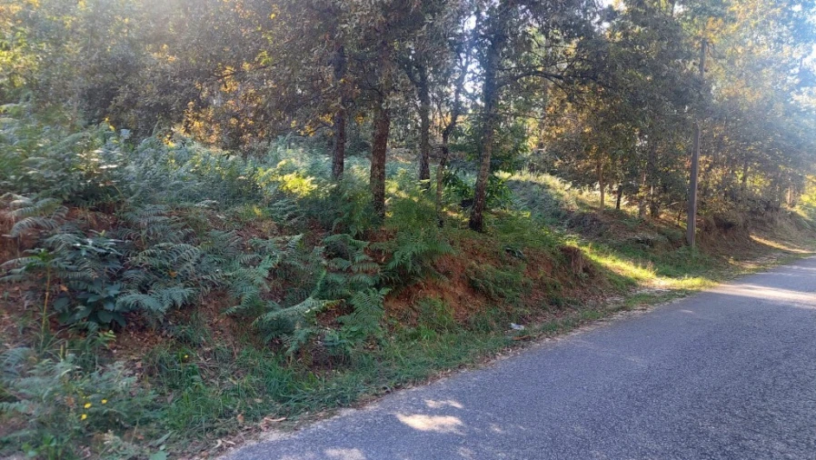 Terreno para Venda em Fiscal Foto 2