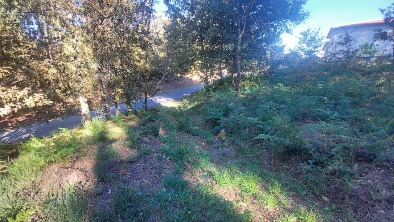 Terreno para Venda em Fiscal Foto 2