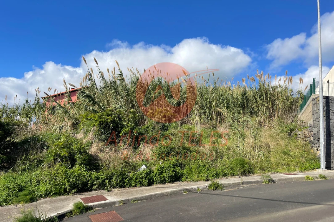 Terreno para Venda em São Sebastião Foto 4