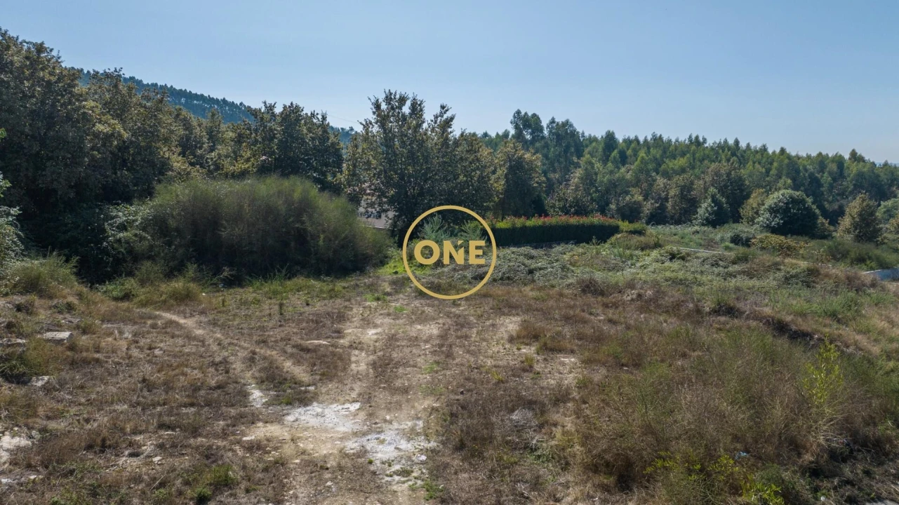 Terreno para Venda em Ruivães e Novais Foto 3