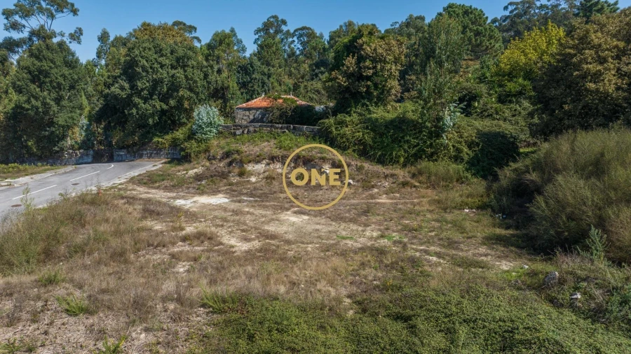 Terreno para Venda em Ruivães e Novais Foto 9