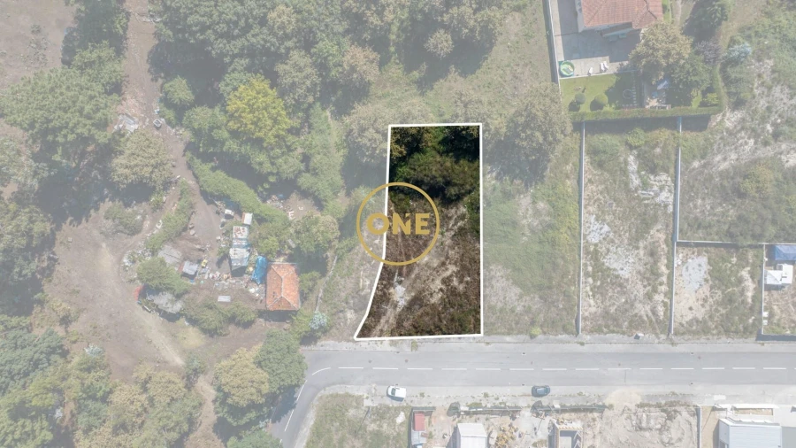 Terreno para Venda em Ruivães e Novais Foto 2
