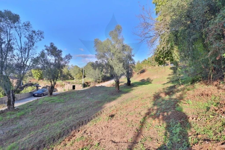 Terreno para Venda em Covelas Foto 4