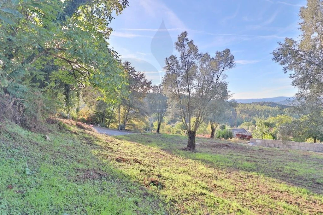 Terreno para Venda em Covelas Foto 7