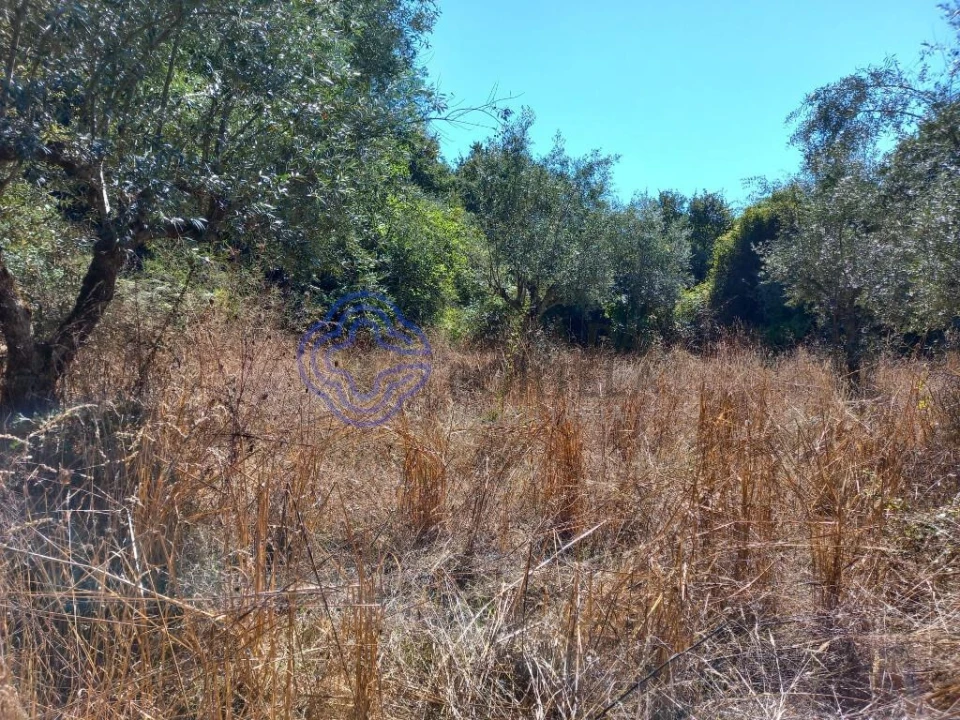 Terreno para Venda em Beco Foto 10