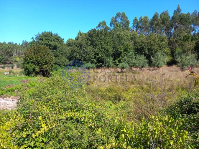 Terreno para Venda em Beco Foto 6