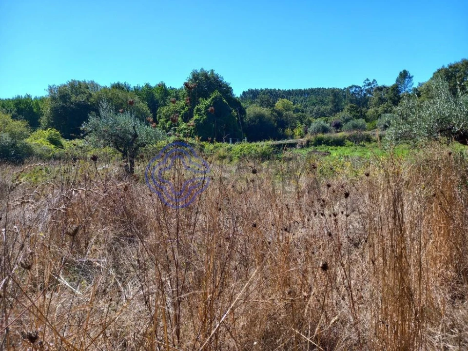 Terreno para Venda em Beco Foto 4
