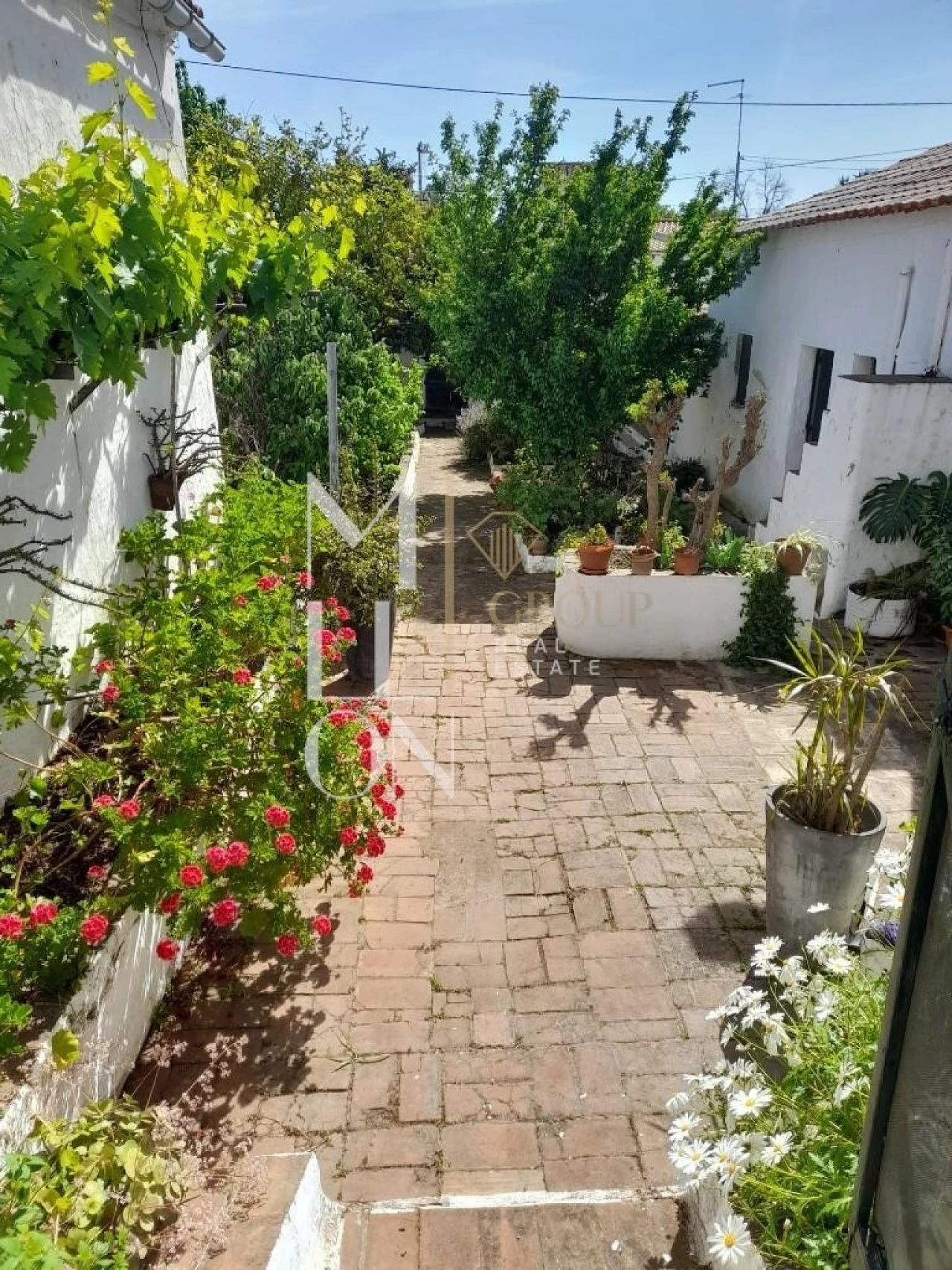 Moradia T3 para Venda em Corte do Pinto Foto 9