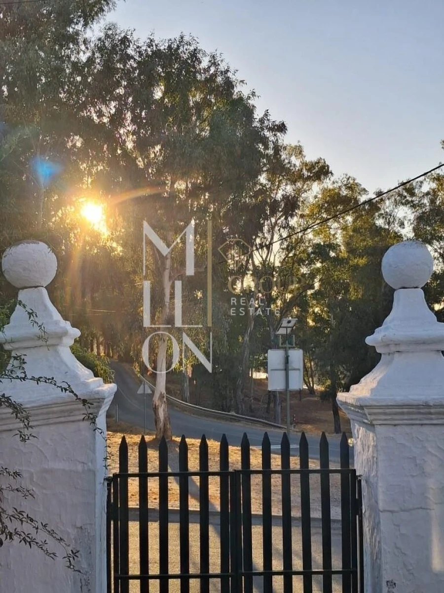 Moradia T3 para Venda em Corte do Pinto Foto 3