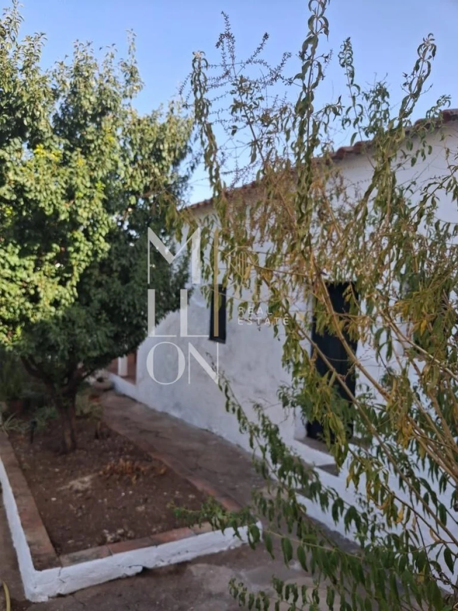 Moradia T3 para Venda em Corte do Pinto Foto 51