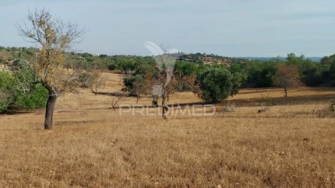 Terreno para Venda em Conceição e Estoi