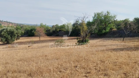 Terreno para Venda em Conceição e Estoi