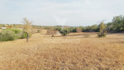 Terreno para Venda em Conceição e Estoi