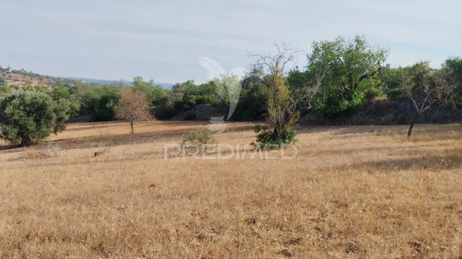 Terreno para Venda em Conceição e Estoi Foto 3