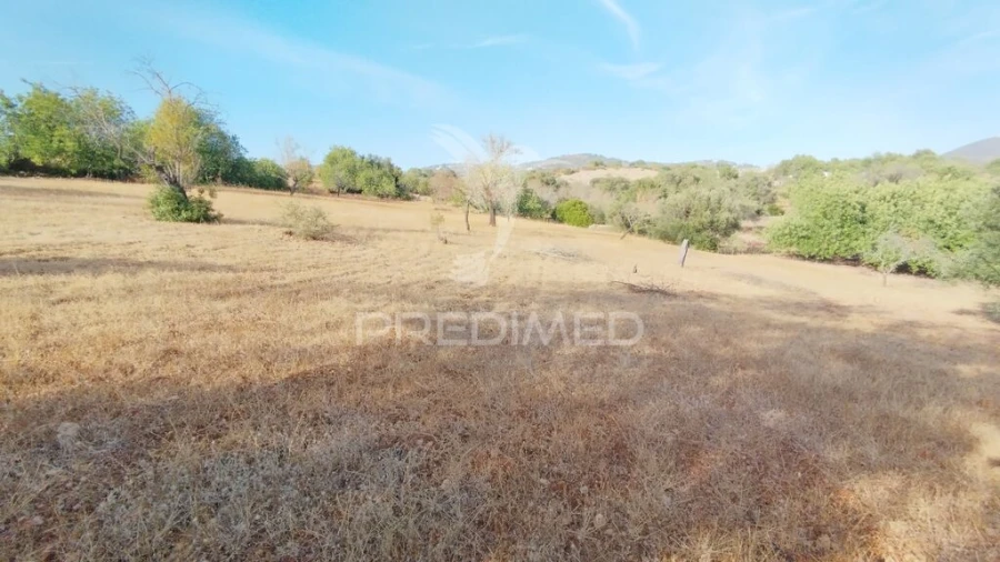 Terreno para Venda em Conceição e Estoi Foto 7