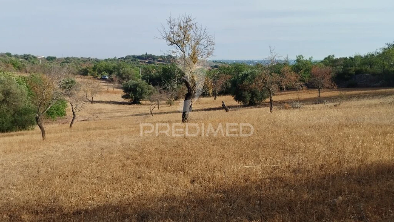 Terreno para Venda em Conceição e Estoi Foto 1