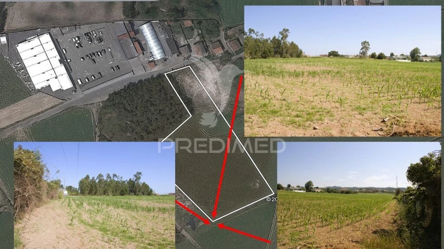 Terreno para Venda em Guilhabreu Foto 4