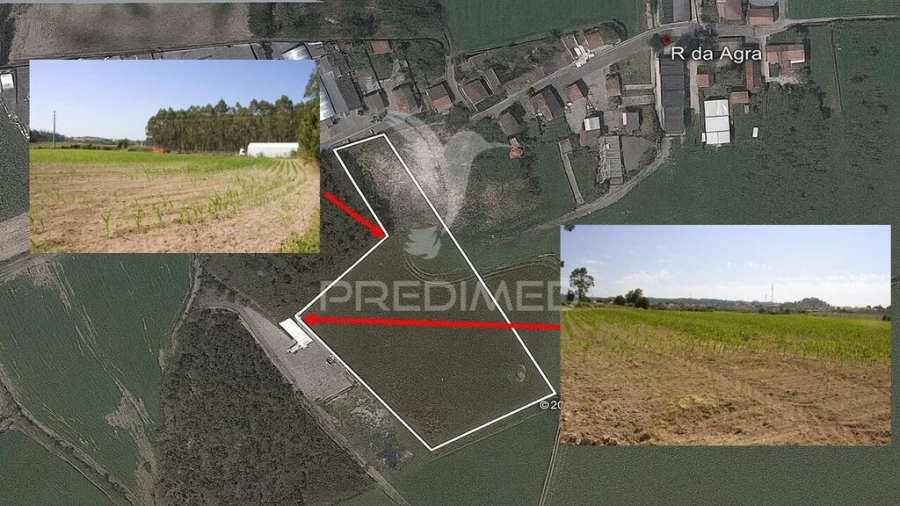 Terreno para Venda em Guilhabreu Foto 3