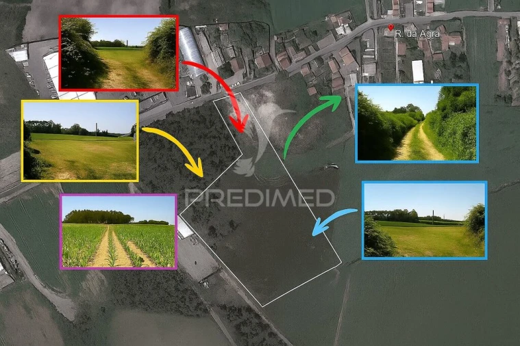 Terreno para Venda em Guilhabreu Foto 6