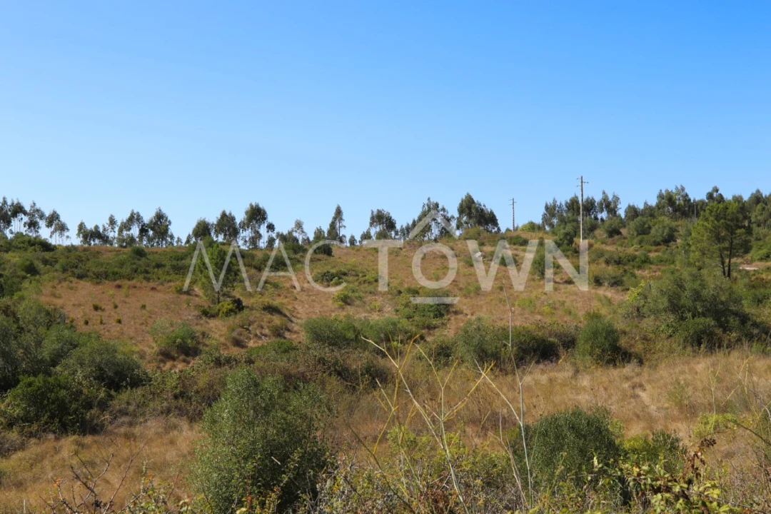 Terreno para Venda em Fanhões Foto 14