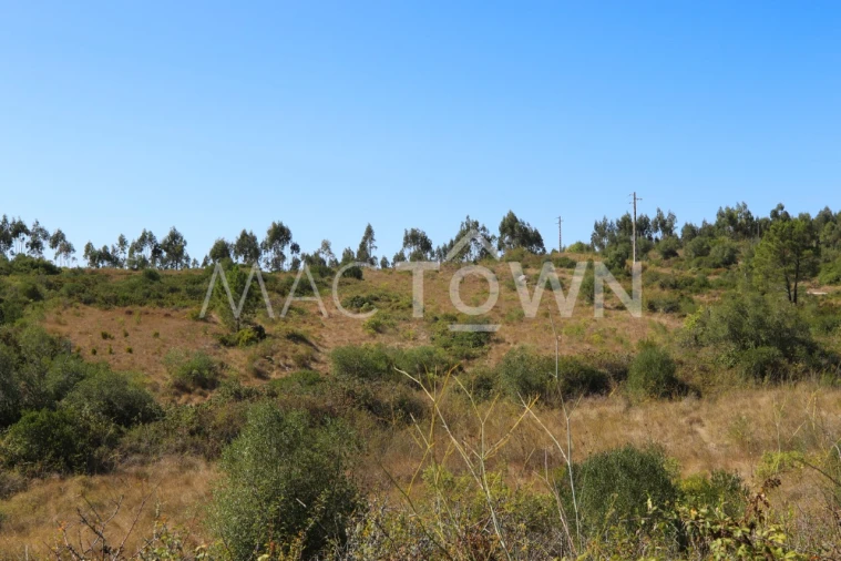 Terreno para Venda em Fanhões Foto 14