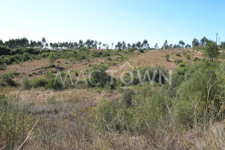 Terreno para Venda em Fanhões Foto 23