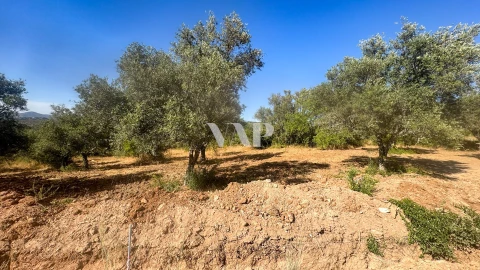 Terreno para Venda em Loule (São Clemente)