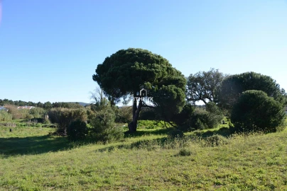 Terreno para Venda em Sesimbra (Castelo)