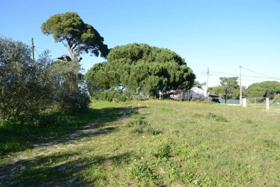 Terreno para Venda em Sesimbra (Castelo)