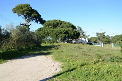 Terreno para Venda em Sesimbra (Castelo)