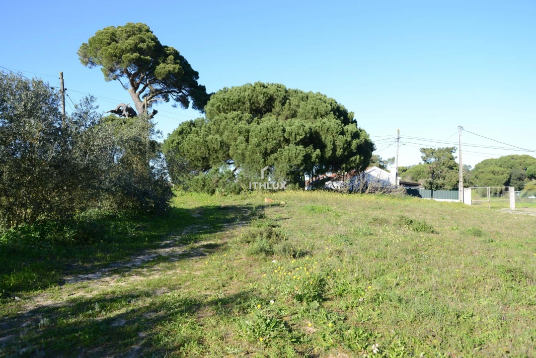Terreno para Venda em Sesimbra (Castelo) Foto 3