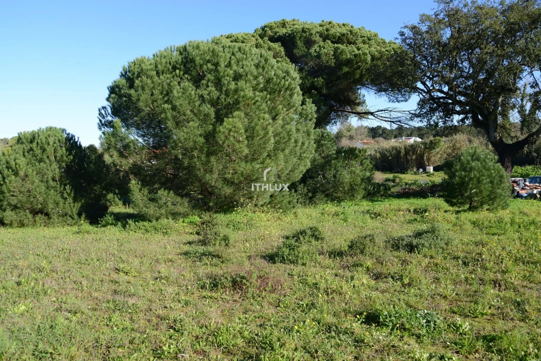 Terreno para Venda em Sesimbra (Castelo) Foto 5