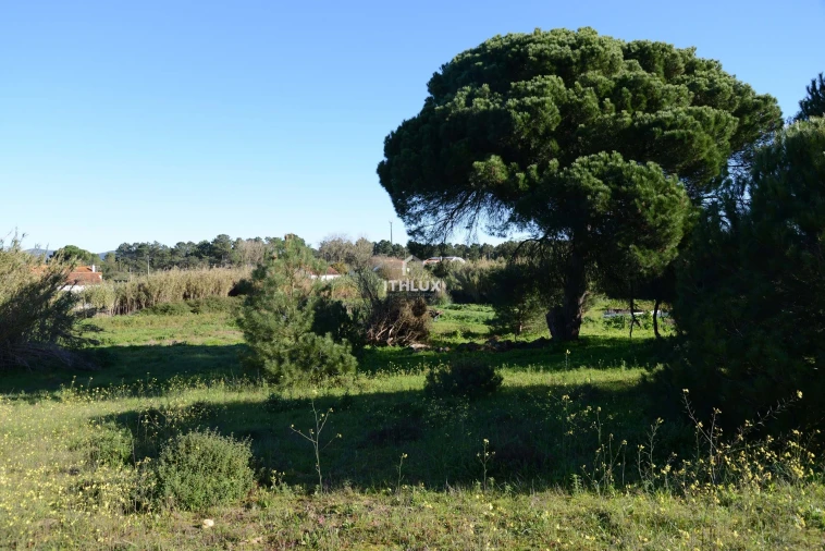 Terreno para Venda em Sesimbra (Castelo) Foto 6