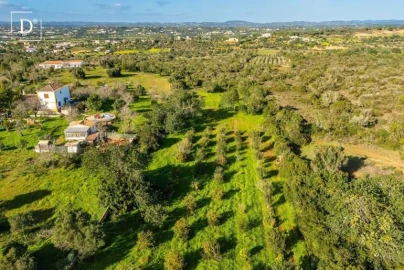 Moradia T4 para Venda em Silves