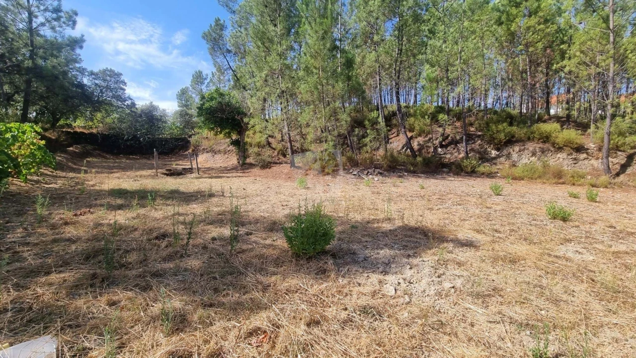 Terreno Agricola ou Rústico para Venda em Santo Andre das Tojeiras Foto 11