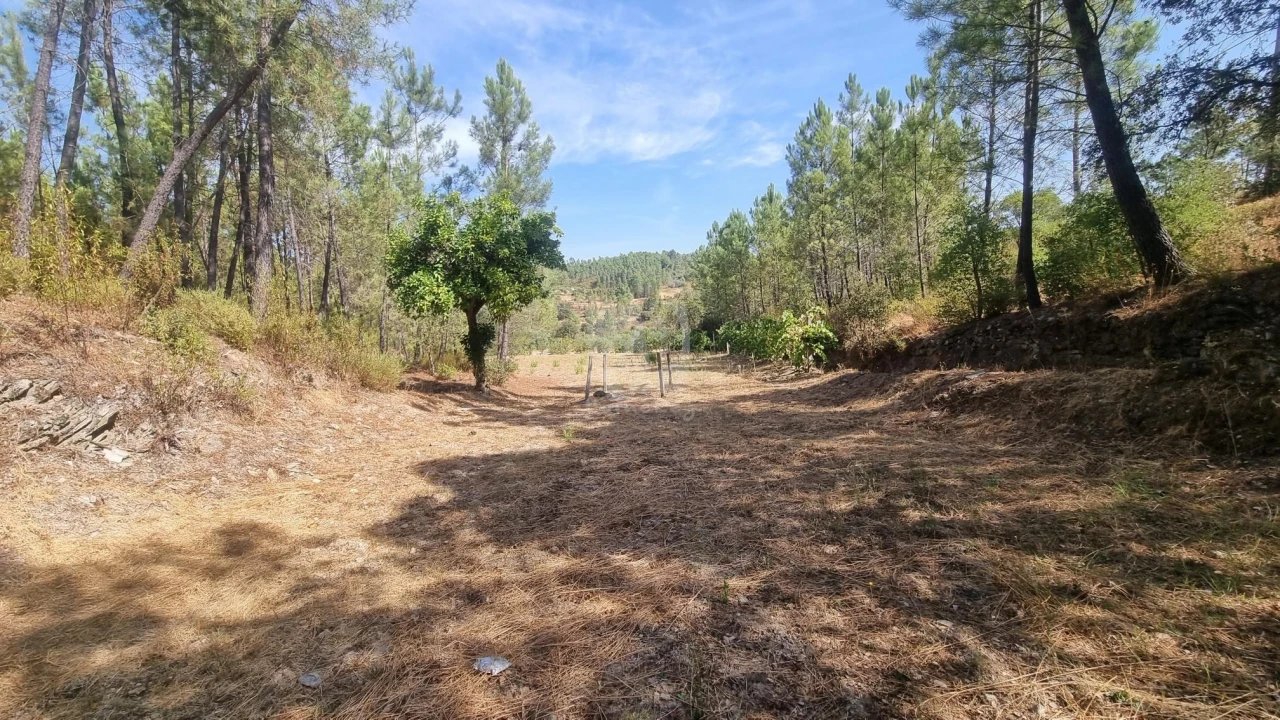 Terreno Agricola ou Rústico para Venda em Santo Andre das Tojeiras Foto 7