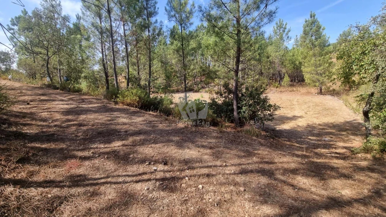 Terreno Agricola ou Rústico para Venda em Santo Andre das Tojeiras Foto 16
