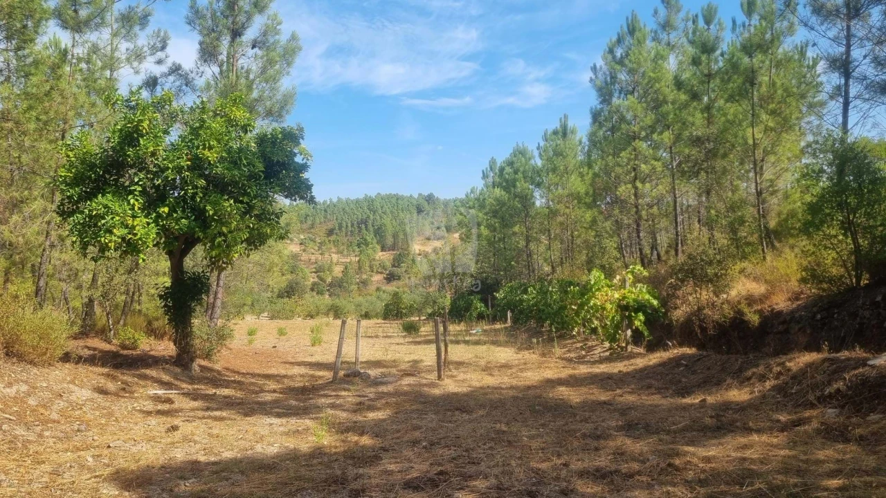 Terreno Agricola ou Rústico para Venda em Santo Andre das Tojeiras Foto 9