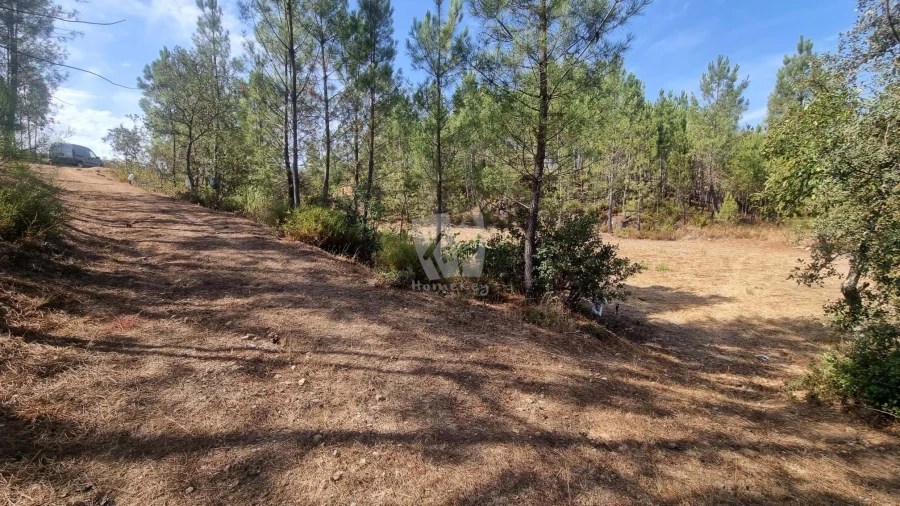 Terreno Agricola ou Rústico para Venda em Santo Andre das Tojeiras Foto 15