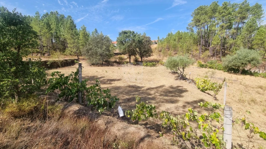 Terreno Agricola ou Rústico para Venda em Santo Andre das Tojeiras Foto 14