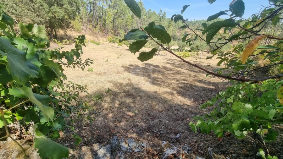 Terreno Agricola ou Rústico para Venda em Santo Andre das Tojeiras Foto 4