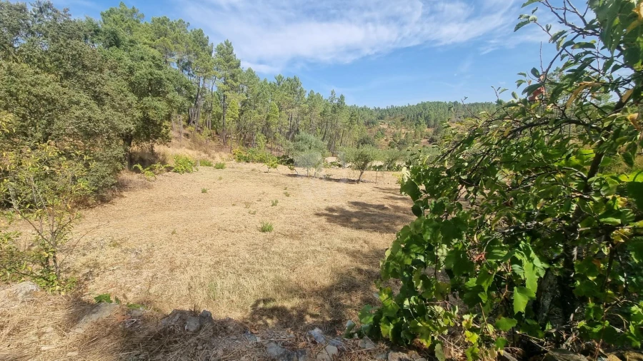 Terreno Agricola ou Rústico para Venda em Santo Andre das Tojeiras Foto 2
