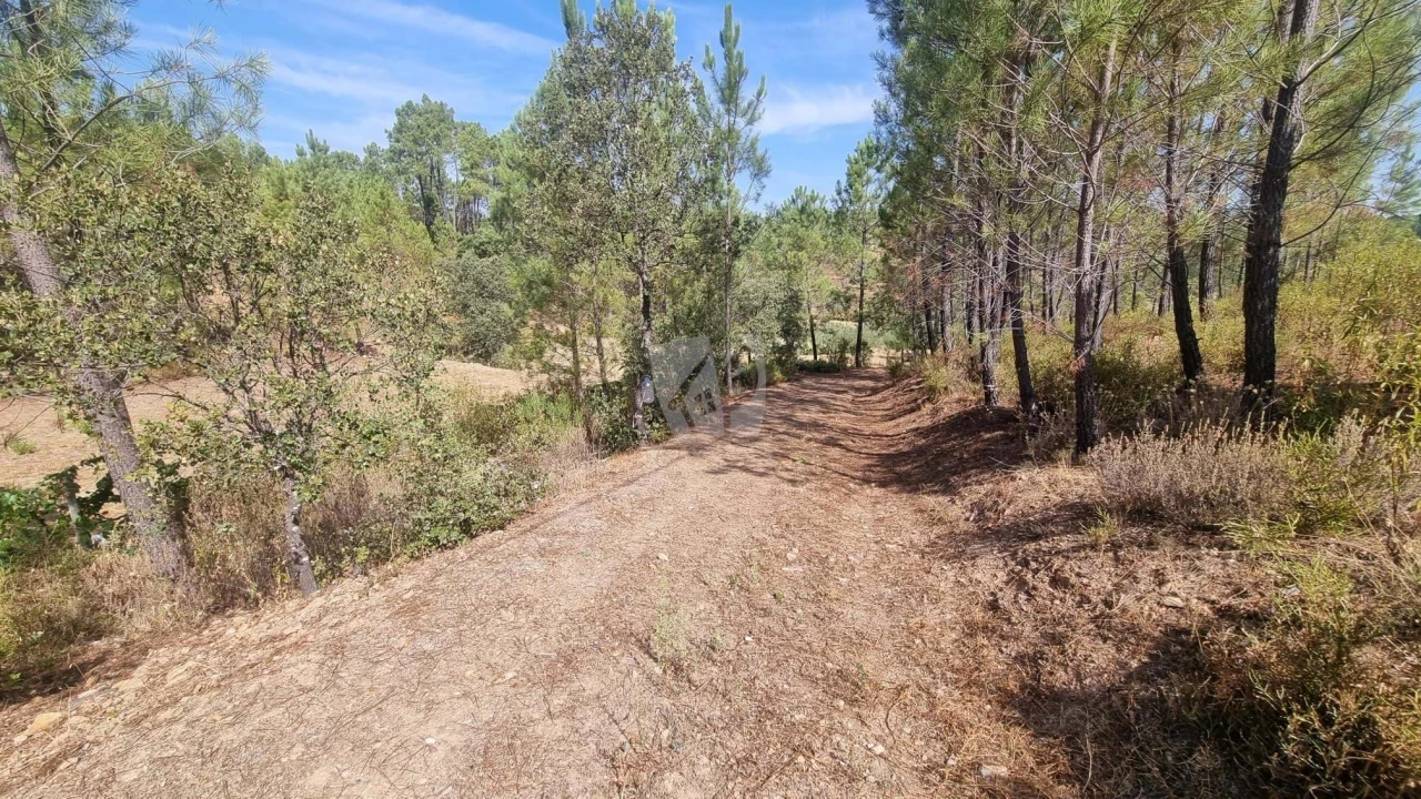 Terreno Agricola ou Rústico para Venda em Santo Andre das Tojeiras Foto 17